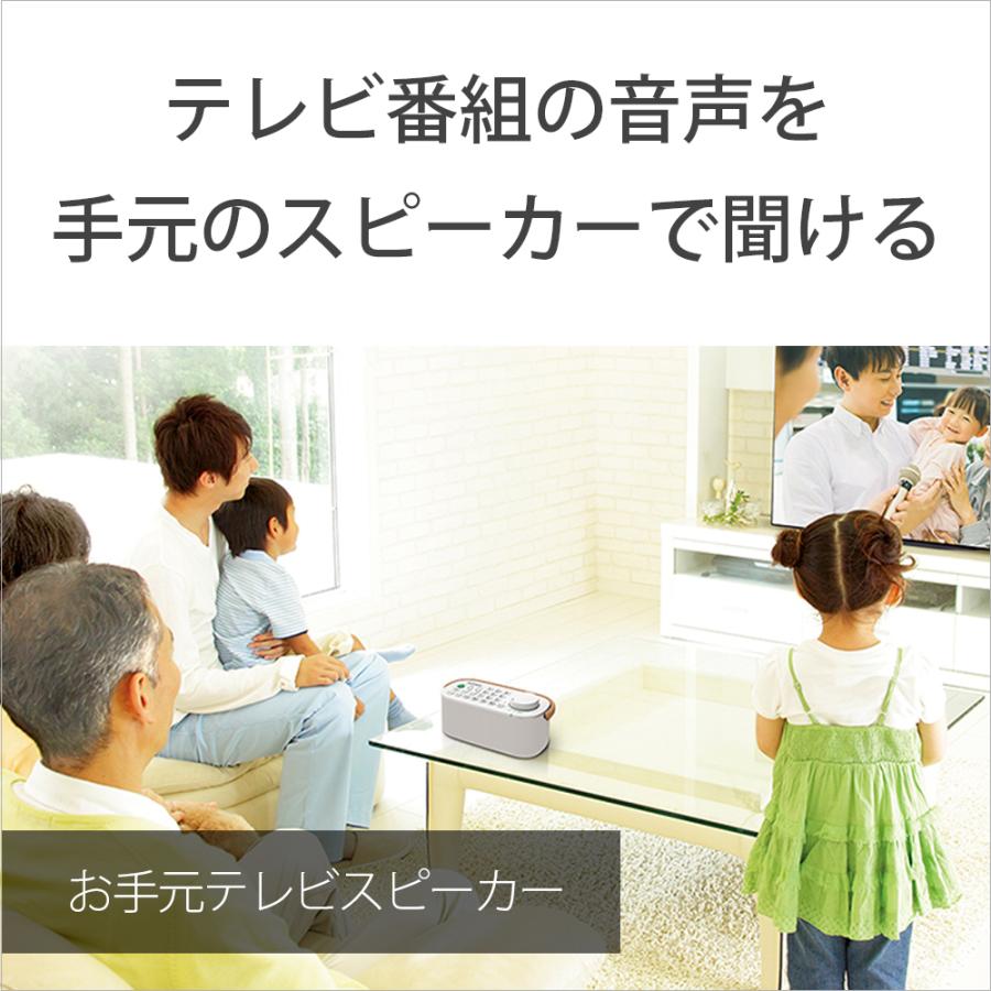 (お取り寄せ) SONY お手元テレビスピーカー SRS-LSR200_3