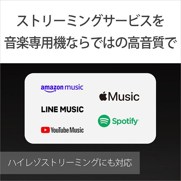 SONY ソニー デジタルオーディオプレイヤー NW-WM1ZM2 2022年モデル｜e-earphone｜02