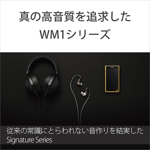 WALKMAN SONY ソニー デジタルオーディオプレイヤー NW-WM1ZM2 2022年