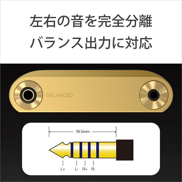 WALKMAN SONY ソニー デジタルオーディオプレイヤー NW-WM1ZM2 2022年