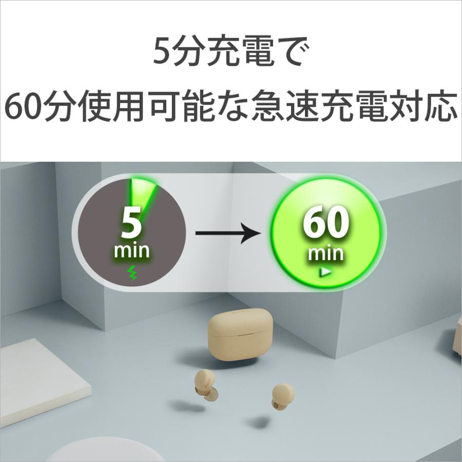 SONY ソニー LinkBuds S エクリュ WF-LS900N CC ワイヤレス SONY ソニー LinkBuds S エクリュ WF-LS900N CC ワイヤレス
