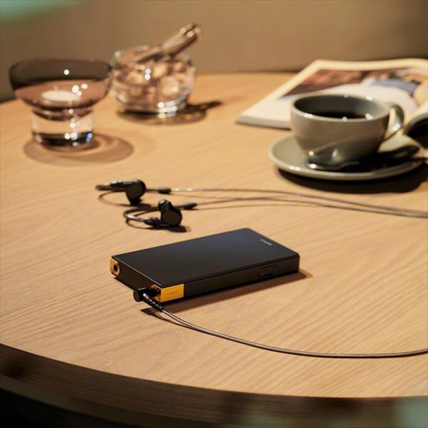 SONY（ソニー） NW-ZX707 C 64GB WALKMAN ウォークマン ZX700シリーズ