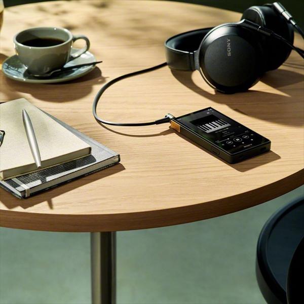 SONY ソニー NW-ZX707 C 64GB WALKMAN ウォークマン ZX700 SONY ソニー NW-ZX707 C 64GB WALKMAN ウォークマン ZX700
