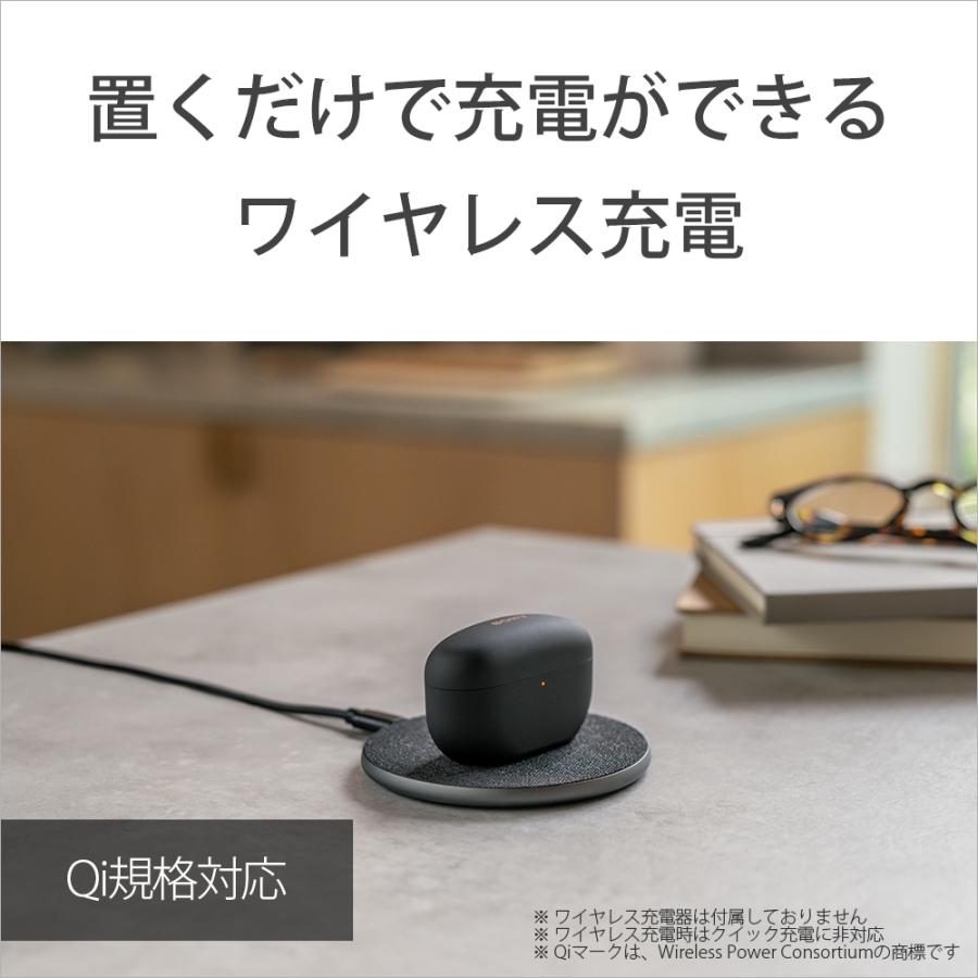 SONY WF-1000XM5 P スモーキーピンク ソニー ワイヤレスイヤホン SONY WF-1000XM5 P スモーキーピンク ソニー ワイヤレスイヤホン