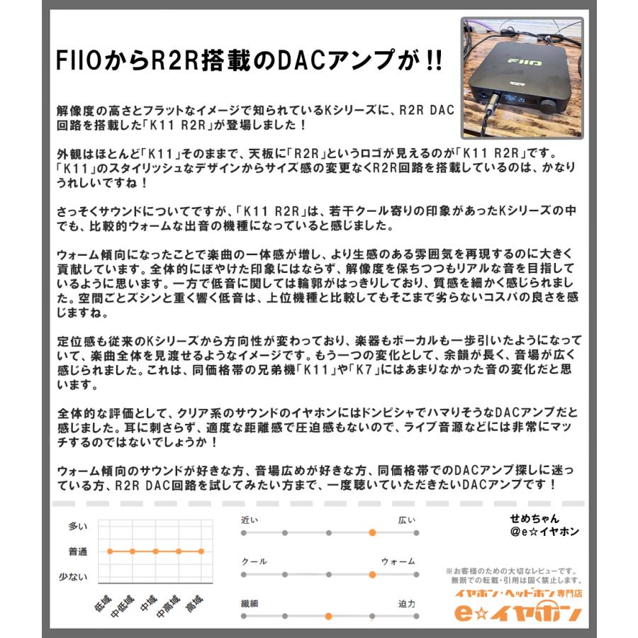 FIIO K11 R2R Silver ヘッドホンアンプ USB DAC バランス接続 据え置き フィーオの画像