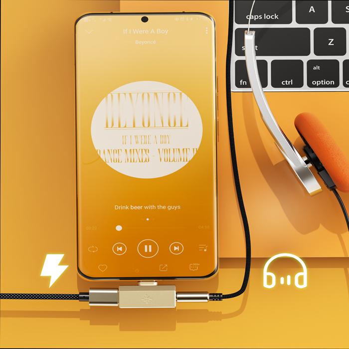 FiiO（フィーオ） (2月13日発売予定) FIIO Snowsky TINY A(3.5+Type-C