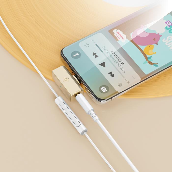 FiiO（フィーオ） (2月13日発売予定) FIIO Snowsky TINY A(3.5+Type-C