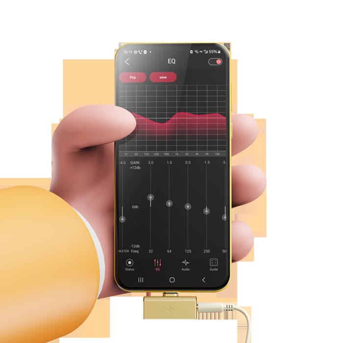 FiiO（フィーオ） (2月13日発売予定) FIIO Snowsky TINY A(3.5+Type-C