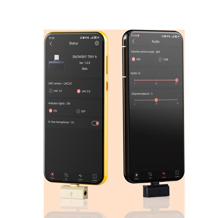 FiiO（フィーオ） FIIO Snowsky TINY B(3.5+4.4) Black【FIO-SSTINYB