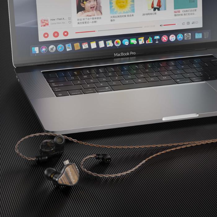 FiiO（フィーオ） FIIO JH13 Black 【FIO-IEM-JH13-B】イヤホン 有線