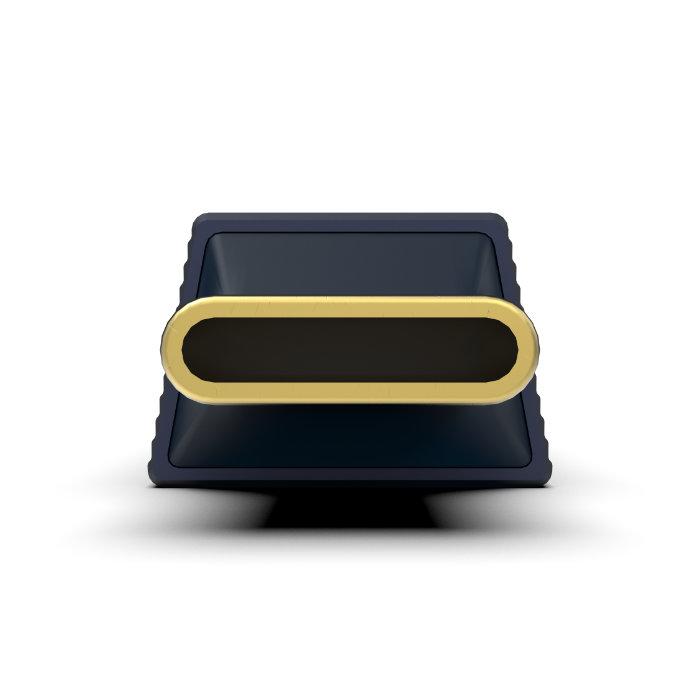 iFi audio（アイファイオーディオ） iFi-Audio GO link 2 ポータブル