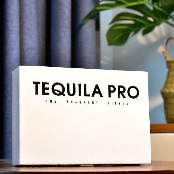 TFZ (お取り寄せ) 有線イヤホン TEQUILA PRO リケーブル カナル型 : e