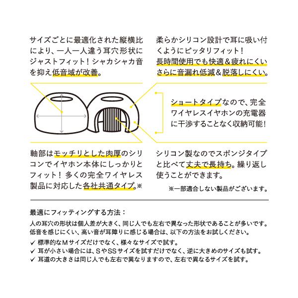 シリコン イヤーピース final Eタイプ TWS専用仕様 BLACK ALLサイズ各1 