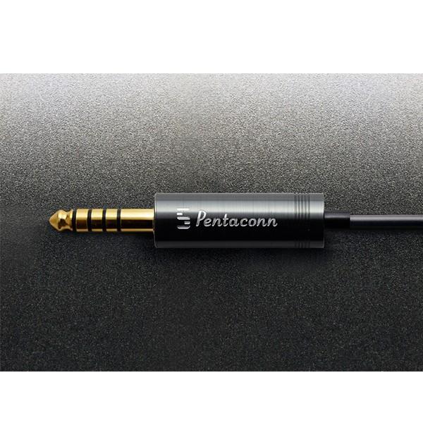 (お取り寄せ 納期:未定)音茶楽 Donguri-楓 Balance 4.4mm5極プラグ カナル型 有線 バランス対応 高音質 イヤホンの画像