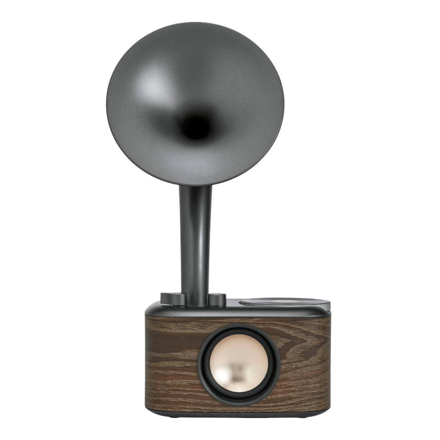 SANGEAN サンジーン WR-303 グラファイトグレー FM ラジオ・Bluetooth