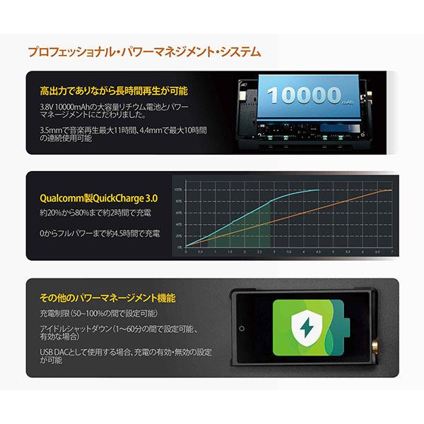 Cayin デジタルオーディオプレイヤー N8ii DAP カイン 【チャンネル】
