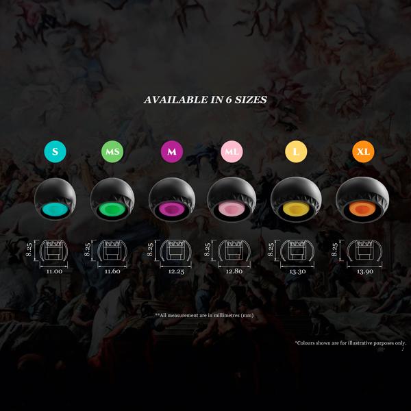 ELETECH BAROQUE L 2ペア イヤーピース イヤーチップ イヤピ フィット