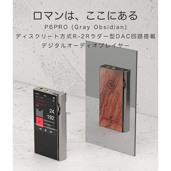お取り寄せ)楽彼(LUXURY&PRECISION) P6 PRO Gray Obsidian (納期:1~2