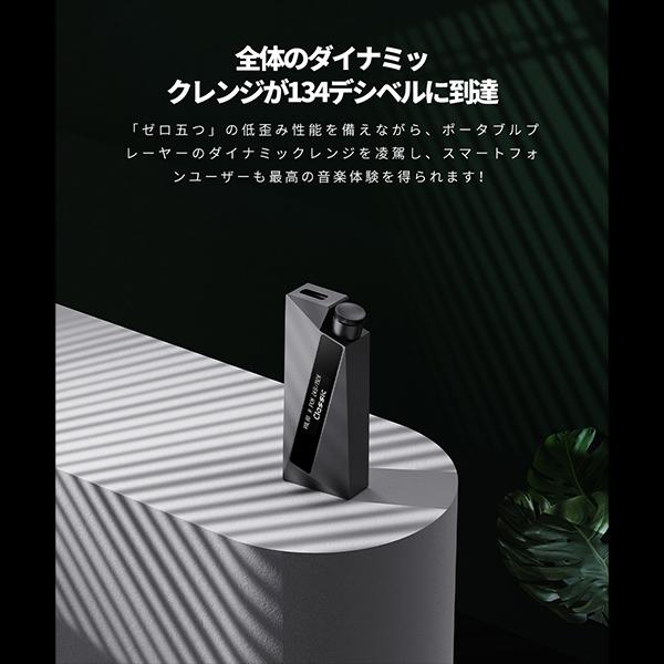 LUXURY & PRECISION W4 本革ケース付き（Luxury & Precision 詰め W4 