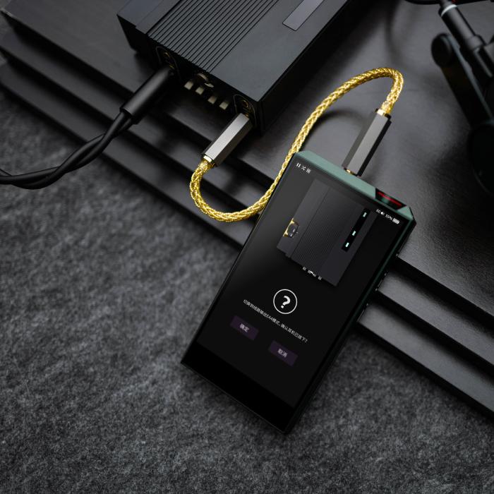 お取り寄せ) 楽彼(LUXURY&PRECISION) AD1955DACカード E7専用 DAC