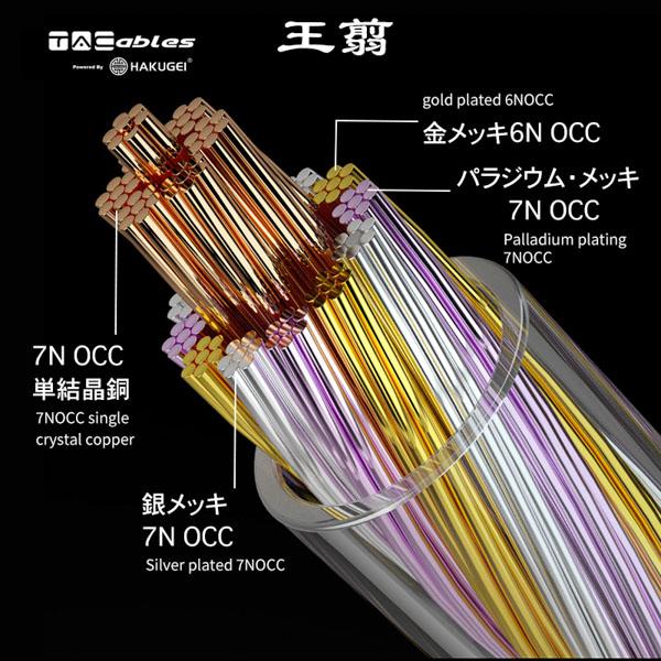TACable powered by HAKUGEI 王翦 4.4mm 2Pin イヤホンケーブル 交換用