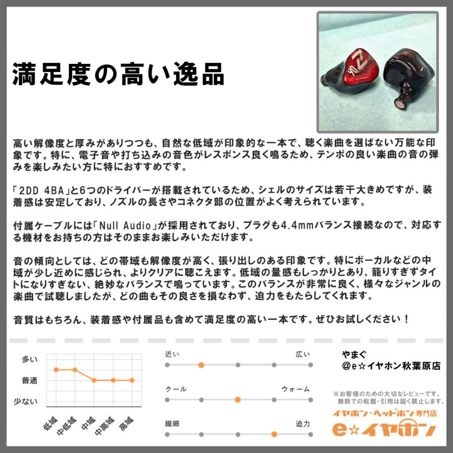 AAW Z06 (Universal Fit) イヤホン 有線 カナル型 リケーブル対応 IEM