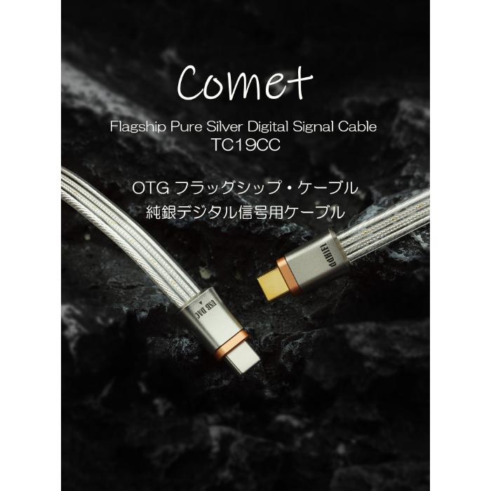 ddHiFi ddHiFi TC19CC USB-C To USB-C OTGケーブル 25cm USBケーブル