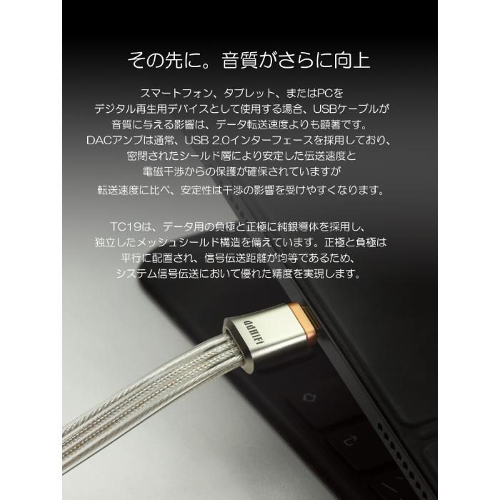 ddHiFi ddHiFi TC19CC USB-C To USB-C OTGケーブル 25cm USBケーブル