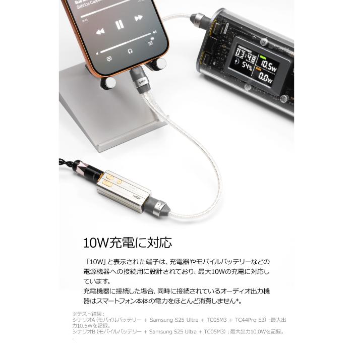 ddHiFi ddHiFi TC05M3 オーディオケーブル USB-C OTGケーブル 充電用 