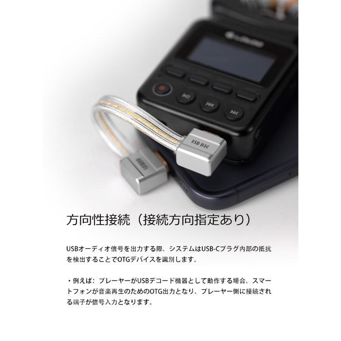 ddHiFi ddHiFi TC19LL オーディオケーブル OTGケーブル ショート
