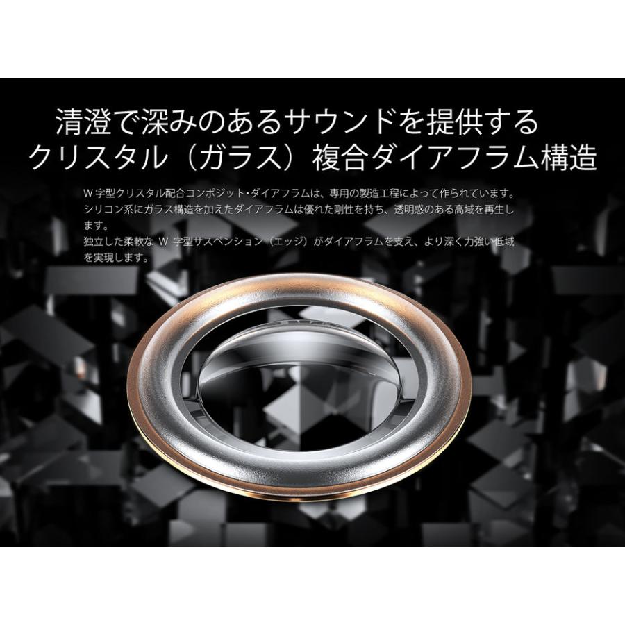 aune audio IR300 有線イヤホン 密閉型 耳掛け式 リケーブル対応 CIEM