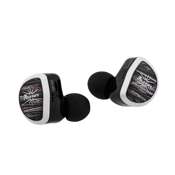 Kiwi Ears Aether 有線 イヤホン カナル型 リケーブル対応 平面駆動ドライバー ダイナミックドライバー IEM キウィイヤーズの画像