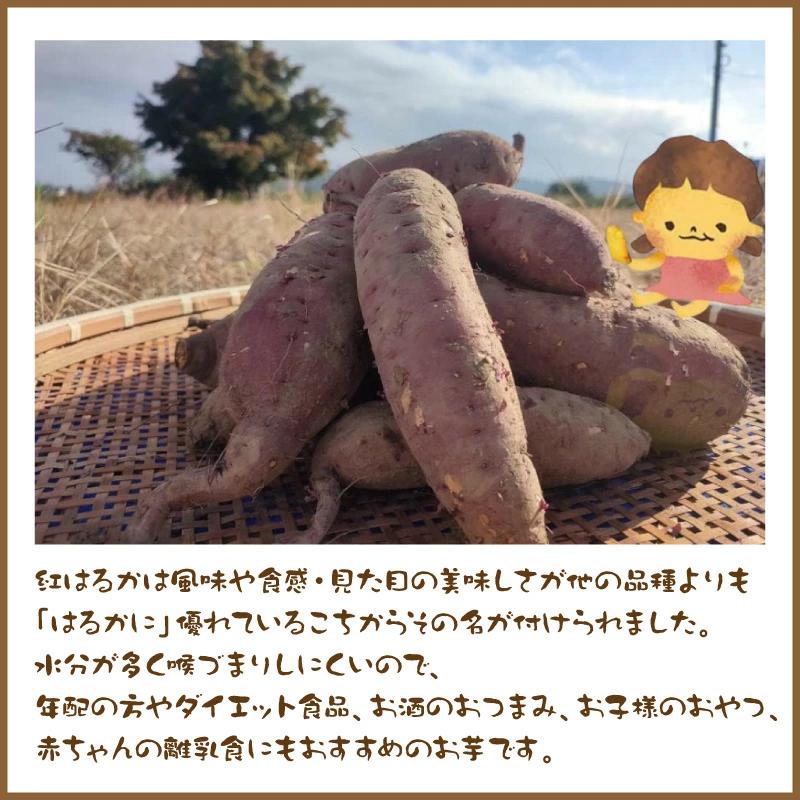 紅はるか 干し芋 【はるかちゃん】 589円〜 国産 さつまいも スーパー