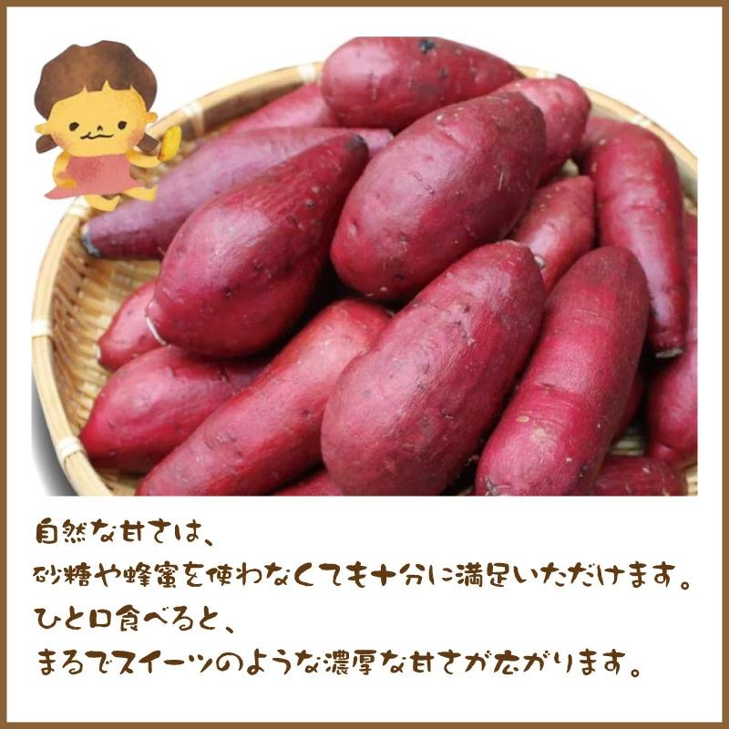 さつまいもちゃん 楽天市場】【季節限定】大分県産紅はるか使用 甘太くん Mサイズ
