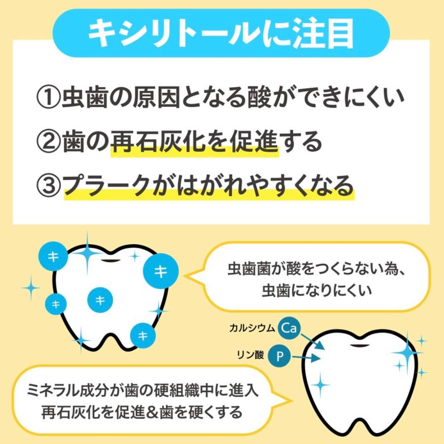 キシリトール 100% 【ミント味】キャンディー タブレット キシリ