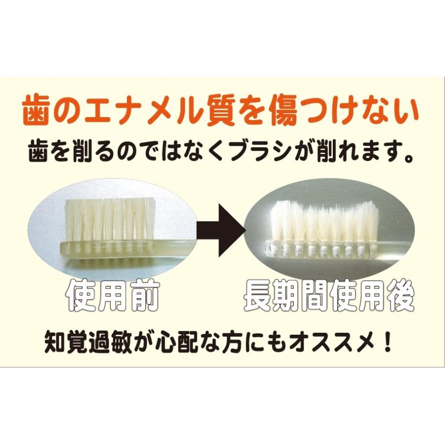 <超かため レギュラー> IKMT 豚毛歯ブラシ IKT-9433 イケモト 天然毛 獣毛 オーラルケア 旧KNT |  | 02