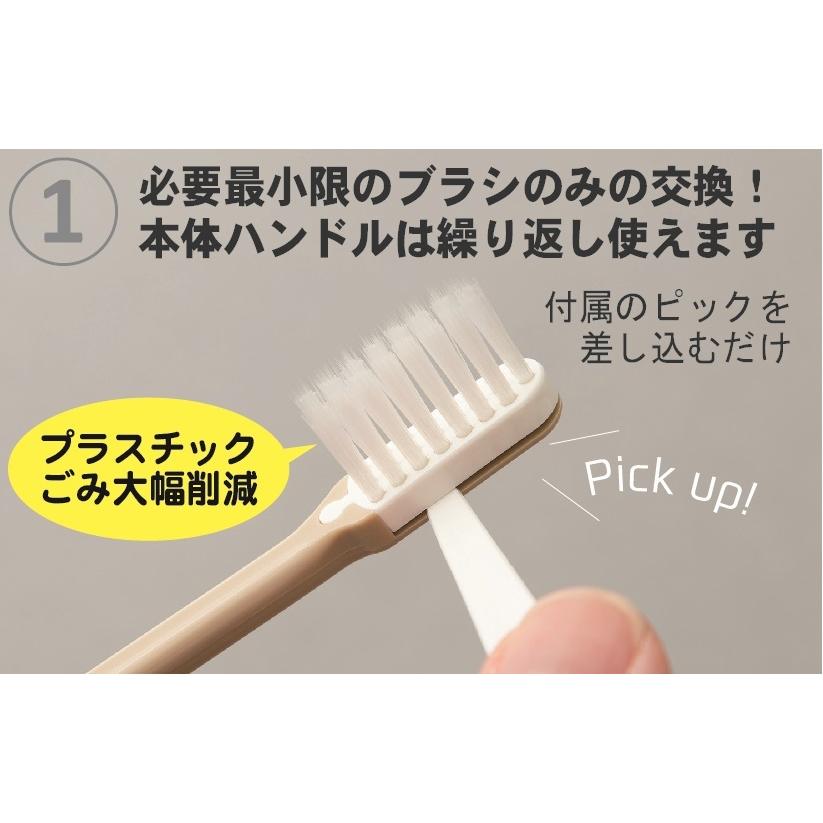 歯ブラシ 新サレド ミューハニカム 替ブラシ2ヶ付 六角形 オーラル