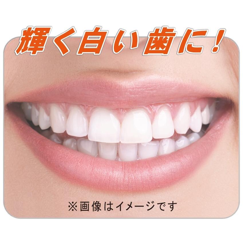 リプロネクスト　80g　REPROnext　ホワイトニング　ナチュラル歯みがき　アパタイト　ホタテ　シコニン　オーラルケア　歯科 |  | 01