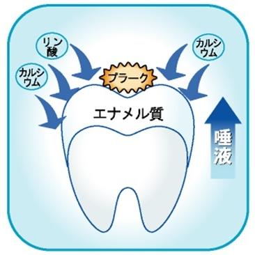 リプロネクスト　80g　REPROnext　ホワイトニング　ナチュラル歯みがき　アパタイト　ホタテ　シコニン　オーラルケア　歯科 |  | 04