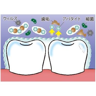 リプロネクスト　80g　REPROnext　ホワイトニング　ナチュラル歯みがき　アパタイト　ホタテ　シコニン　オーラルケア　歯科 |  | 05