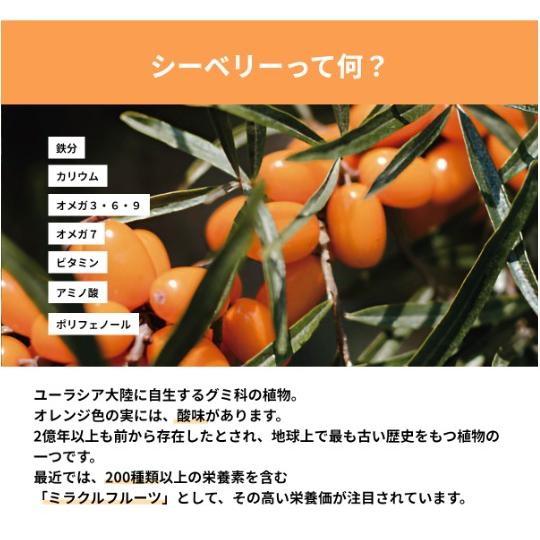 たかくら新産業 だいじょうぶなもの 北欧産プレミアム シーベリージュース 250ml サジー ビタミンC オメガ 3・6・9 オメガ7 EUオーガニック認証 | たかくら新産業 | 01