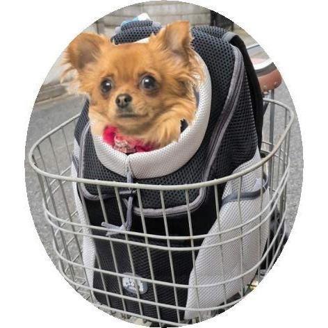 自転車 犬 猫 ペットキャリー キャリーバッグ ペット キャリー リュック バッグ ペットリュック |  | 01