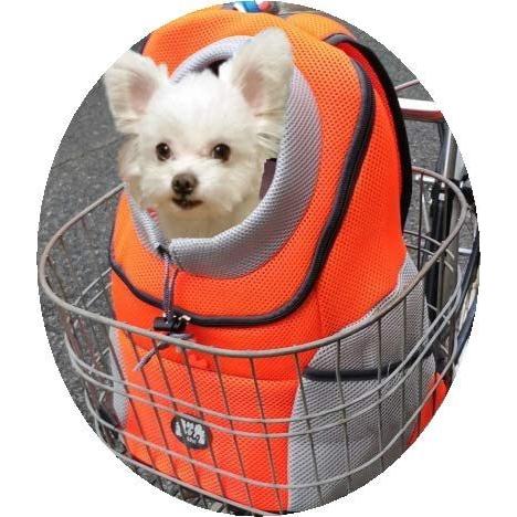 自転車 犬 猫 ペットキャリー キャリーバッグ ペット キャリー リュック バッグ ペットリュック |  | 02