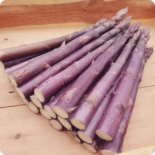 21人気no 1の 紫アスパラガス 送料無料 ３０ｇup ２６ ３４本 甘み抜群 アントシアニン豊富 アスパラ専門農家 長野県産 １ｋｇ以上 Wantannas Go Id