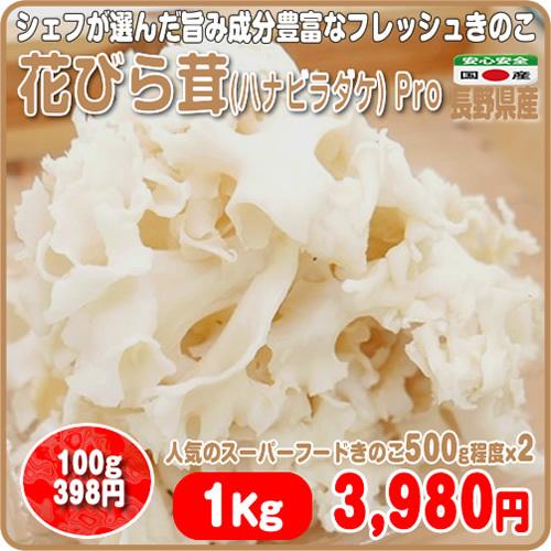 花びら茸 ハナビラダケ ｐｒｏ １ｋｇ フレッシュきのこ スーパーフード 旨み成分豊富 長野県産 02hd00 イーファーマーズ 通販 Yahoo ショッピング