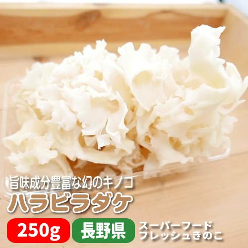 花びら茸(ハナビラダケ) ２５０ｇ フレッシュきのこ スーパーフード 旨み成分豊富 長野県産