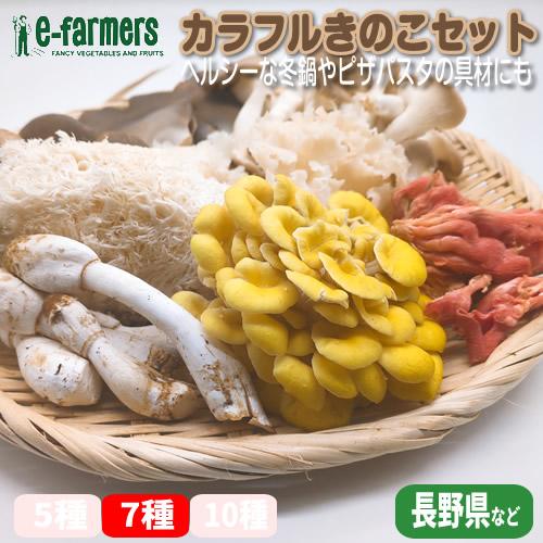 カラフルきのこセットB 7種のきのこ ヘルシーな冬鍋・味噌汁・バター