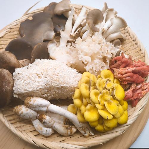 カラフルきのこセットB 7種のきのこ ヘルシーな冬鍋・味噌汁・バター