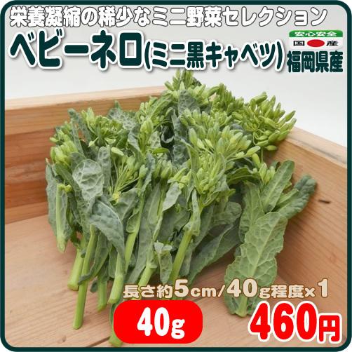 138円 67 Off ベビーネロ ４０ｇ お洒落サイズ イタリア野菜 黒キャベツ 栄養凝縮 ミニ野菜 福岡県産