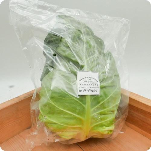 全品最安値に挑戦 ポインテッドキャベツ ３００ｇ程度ｘ１個 新東京野菜 とんがり帽子のような形のキャベツ 東京都産